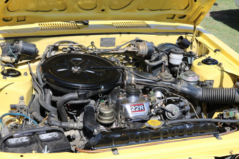 My engine bay is as clean as you will see in a car driven regularly